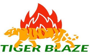 Tiger Blaze Logo